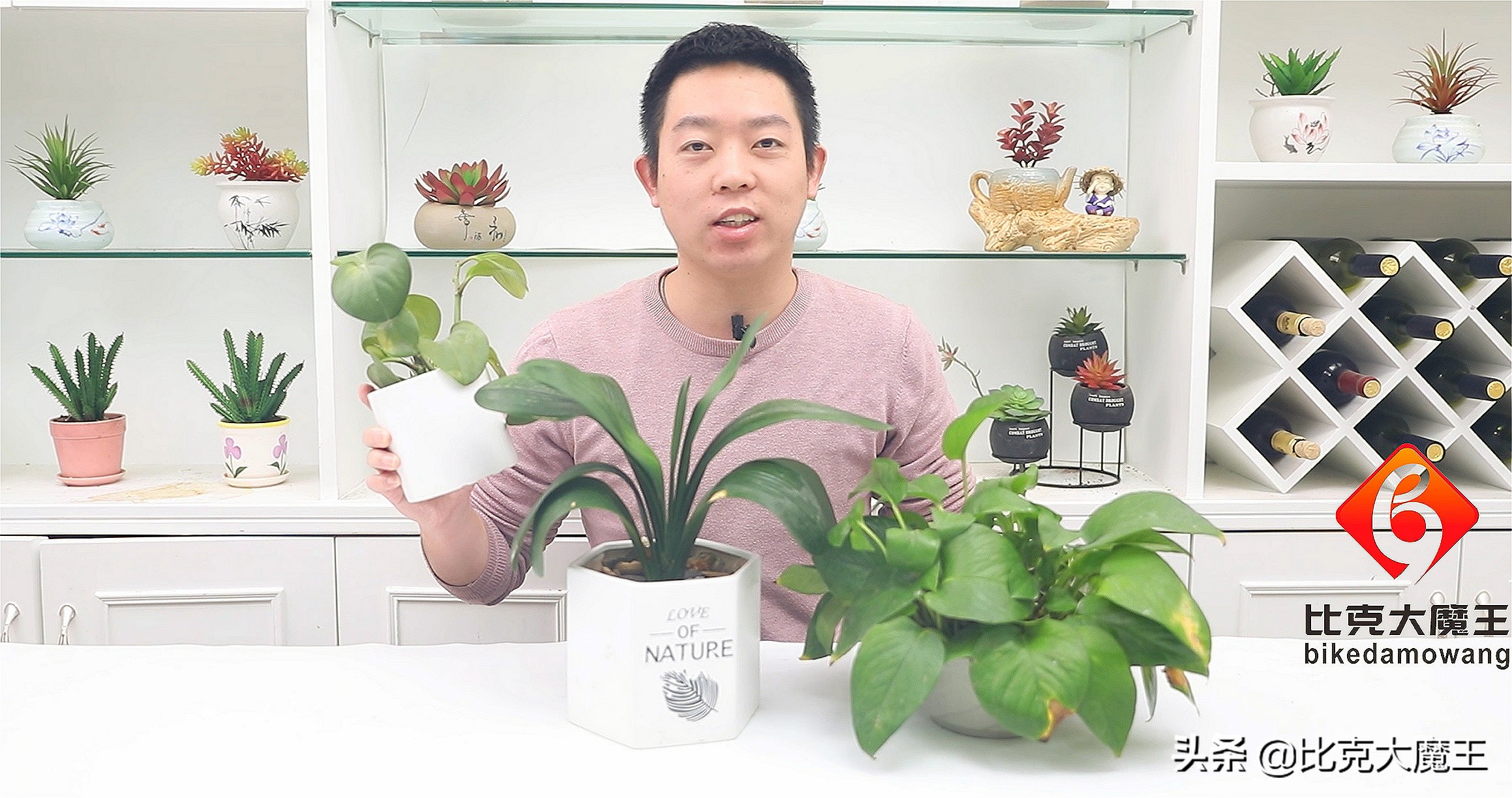 如何用塑料瓶做自动浇花神器,用塑料瓶做自动浇花器