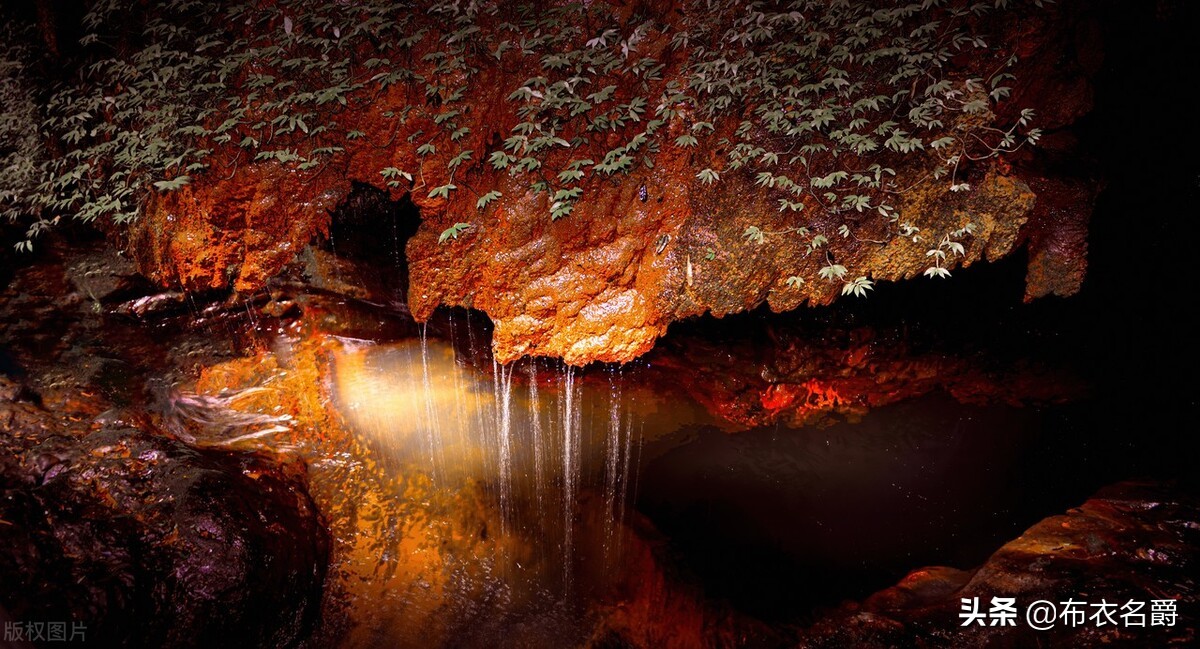 鸡得了盲肠肝炎传染吗,好兽医