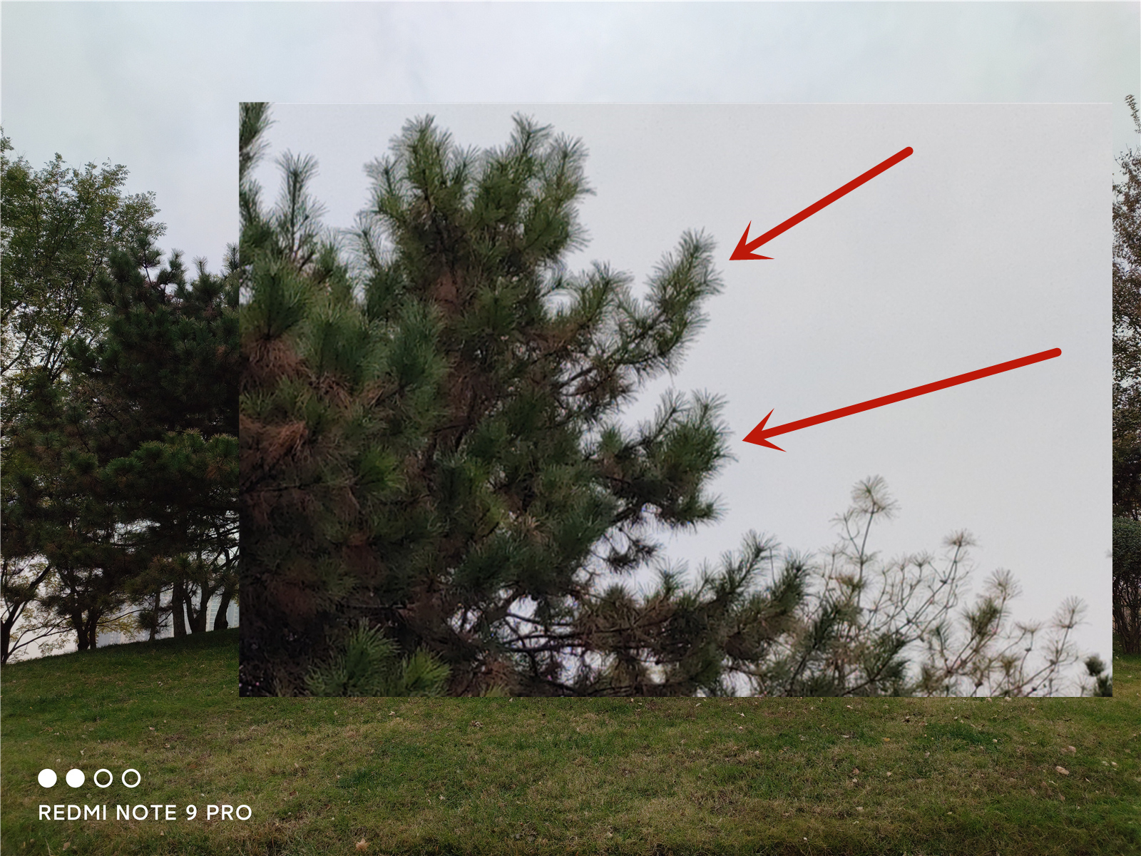 redminote9娣卞害娴嬭瘎,redminote9鎺ㄨ崘