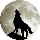 25亿奖金没人领，半年损失326亿！全国最大“连锁店”，卖不动了