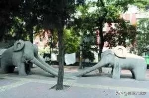 龙潭湖中湖公园游乐场摩天轮攻略,近期龙潭中湖摩天轮什么时候亮灯