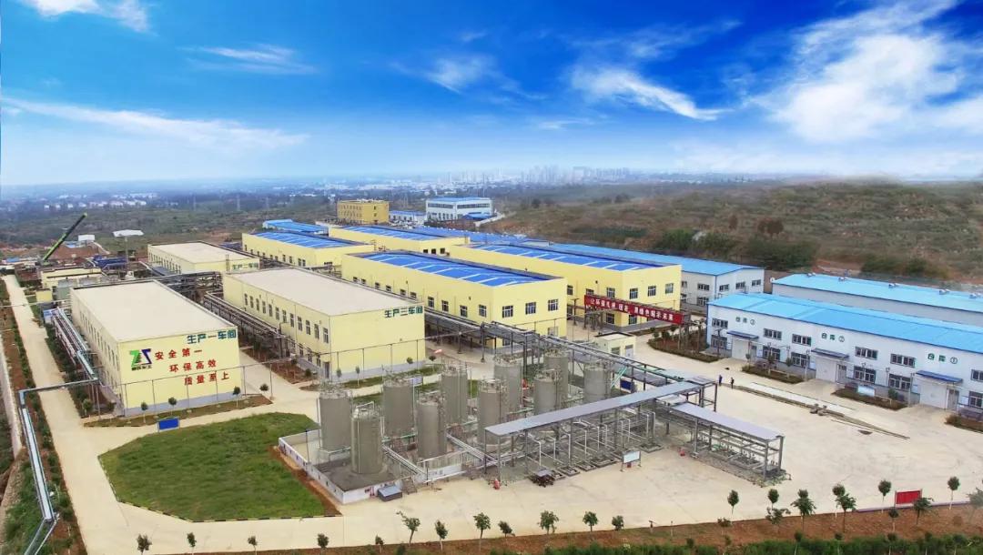 郑氏化工棉花增产,郑氏化工增胺脂对植物的作用