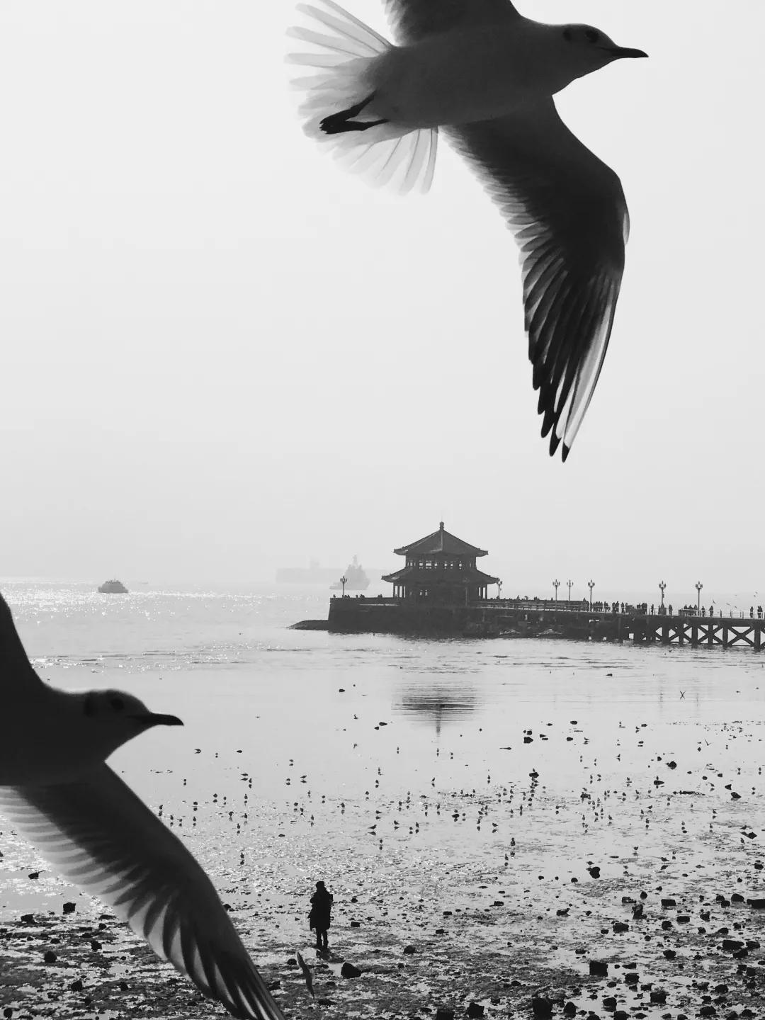 iphone相机操作指南广角镜头篇,iphone相机操作指南3.0