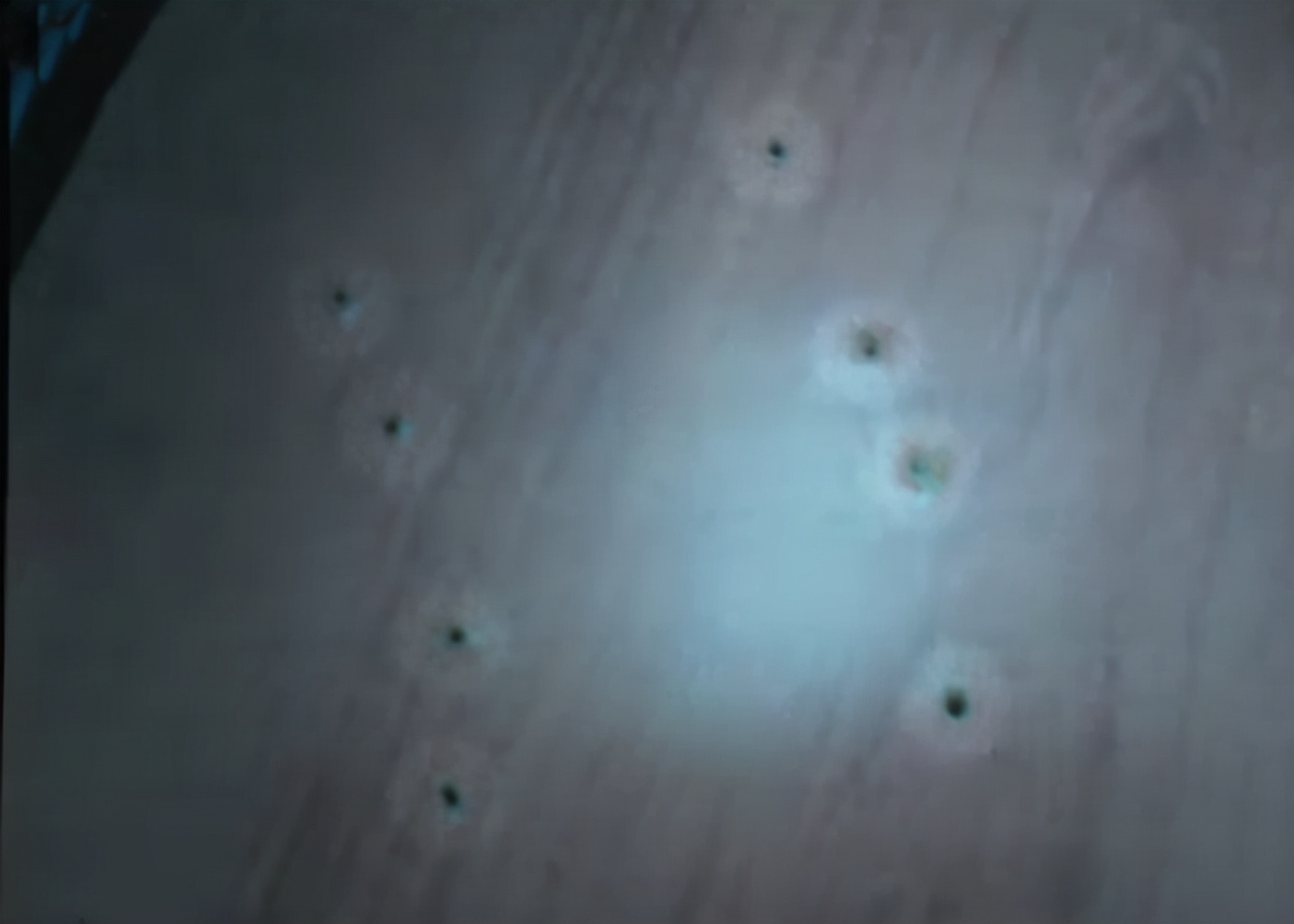 2006年韩国女生聚餐后失踪,韩国女大学生失踪事件