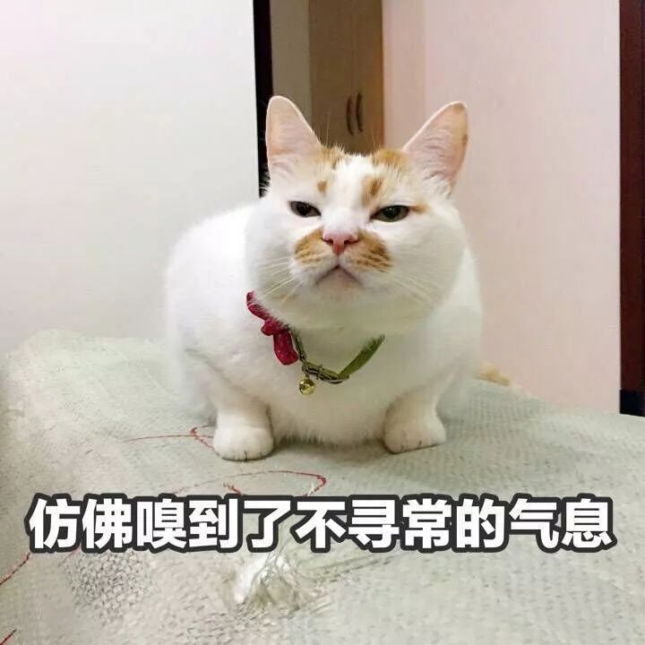 被潭州教育抄袭后，我决定发起“花样吐槽大赛”