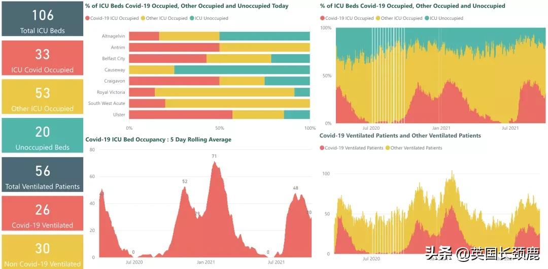英国最大华人物流公司疑似破产！伦敦马拉松时隔两年再回归