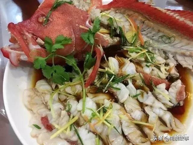 海鱼的做法大全家常视频,海鱼的30种家常做法收藏