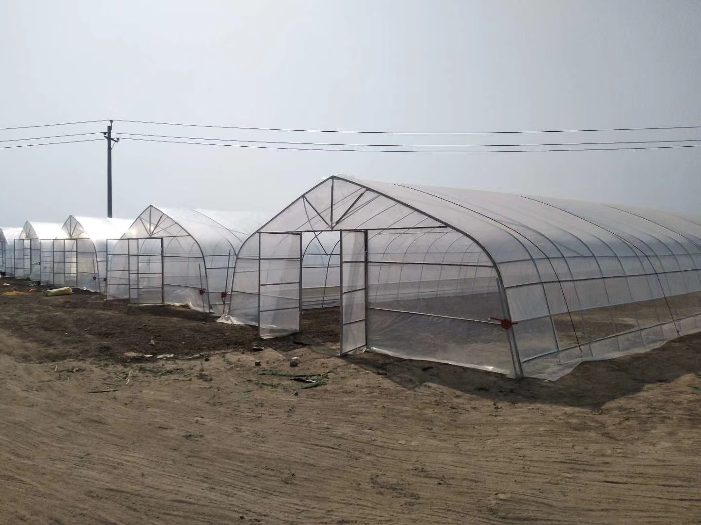 冷棚错峰种植,大冷棚一年四季种植安排