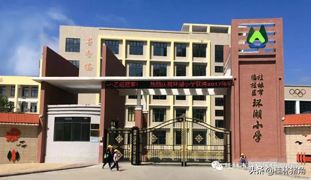 桂林临桂区致远小学怎么样,桂林临桂区哪个小学最好