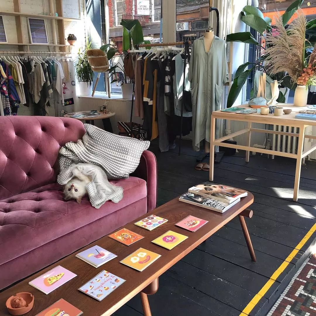 21亿遗产的猫现在怎么样了,失踪多年的猫终于回来了