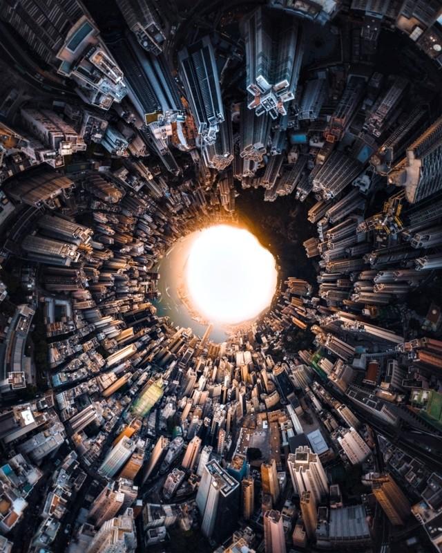 如何理解原生动物进化的意义,单细胞动物进化论