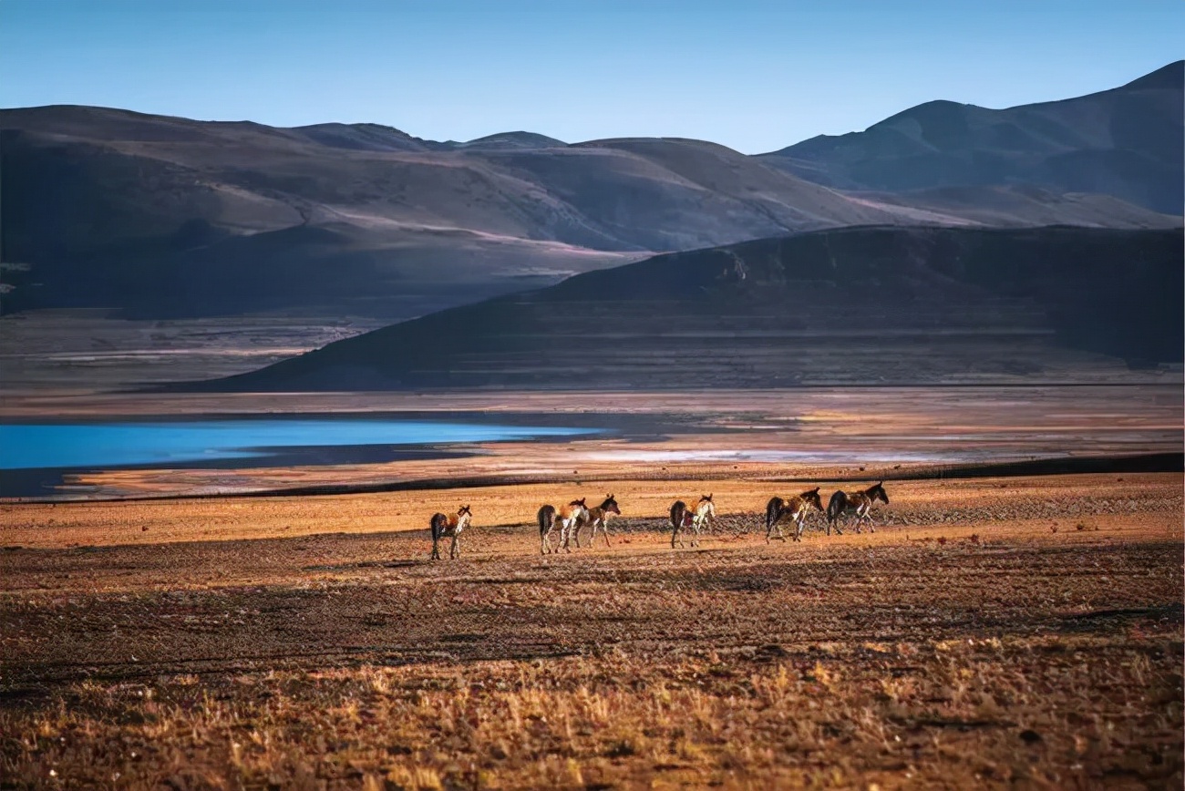 1011月错过它们,等于错过整个秋天!人少清净,随手一拍都是大片