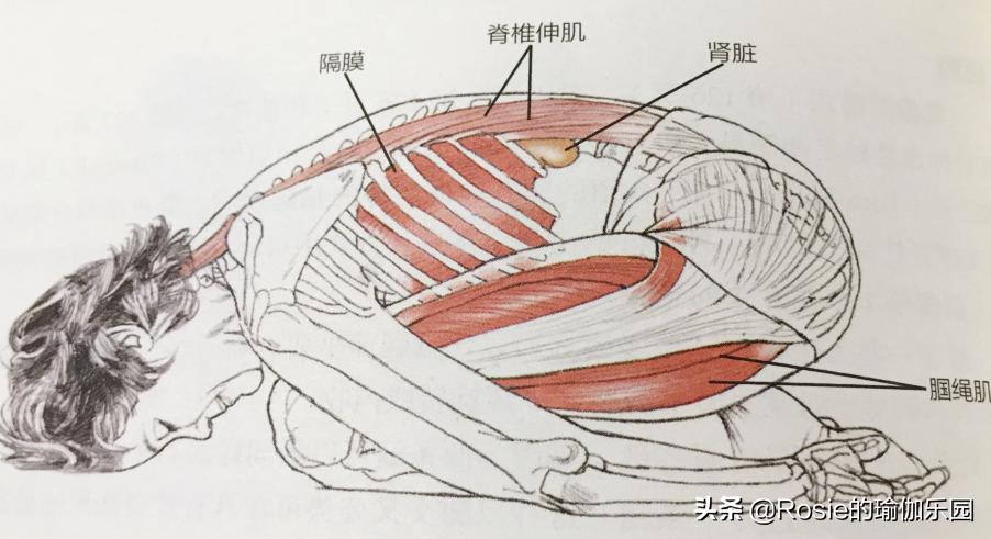 运动量过大腰疼怎么恢复,产后腰痛膝盖痛怎么锻炼