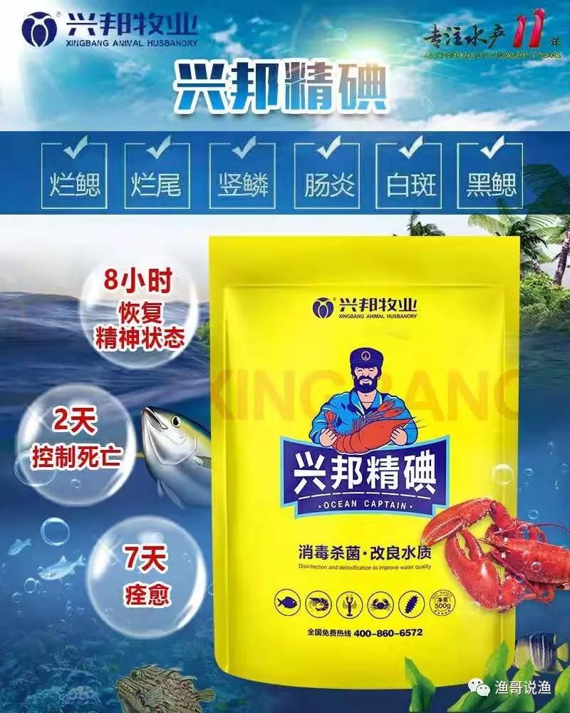 水产养殖竖鳞病治疗,水产养殖案例