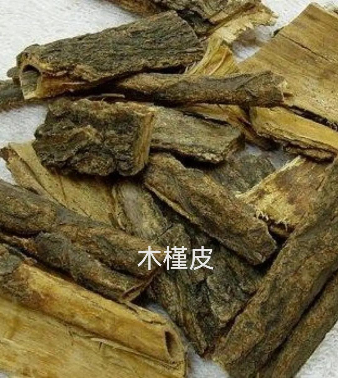 中药古今研究桑寄生,木槿皮与土槿皮区别