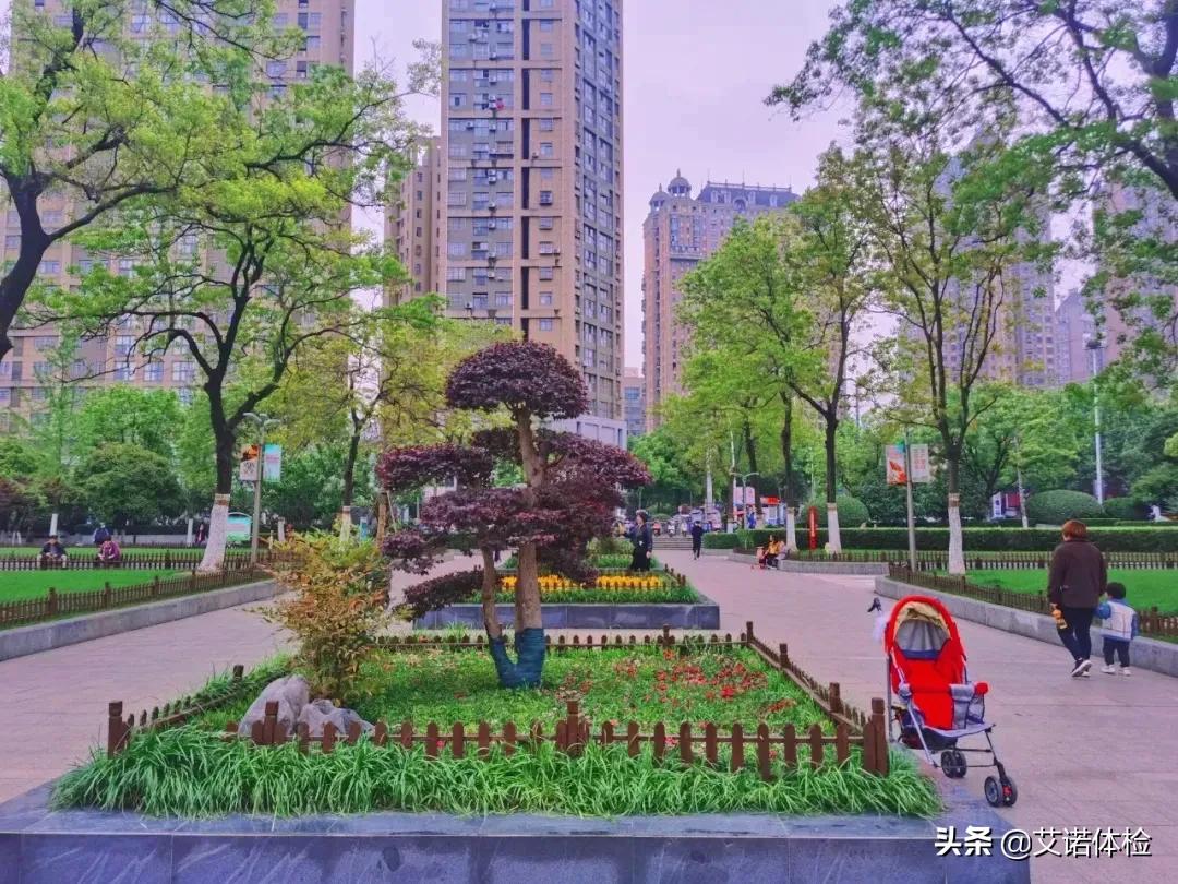 住在明光路的合肥人,太太太幸福了