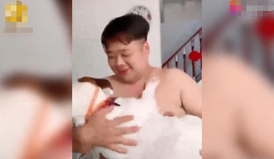 把宠物狗宠上天了,宠物狗被宠上天