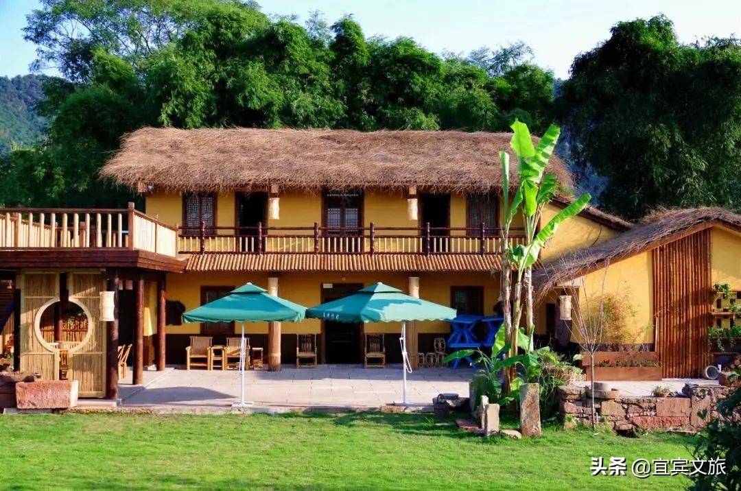 国内赏竹,中国人赏竹