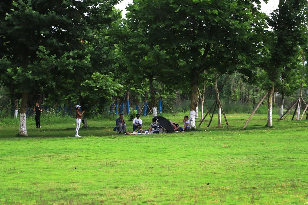 搞快点是哪里方言,搞快点