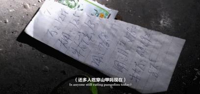 穿山甲报应,报应啊