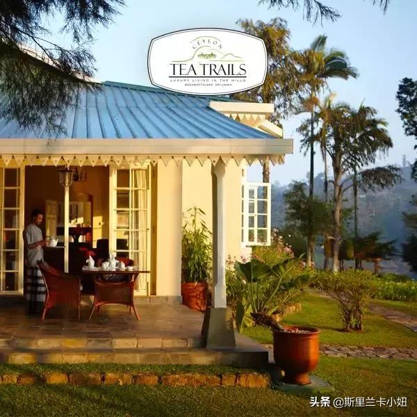 锡兰藏着3家罗莱夏朵：英式茶园野奢帐篷和悬崖海滨，随时去隐居