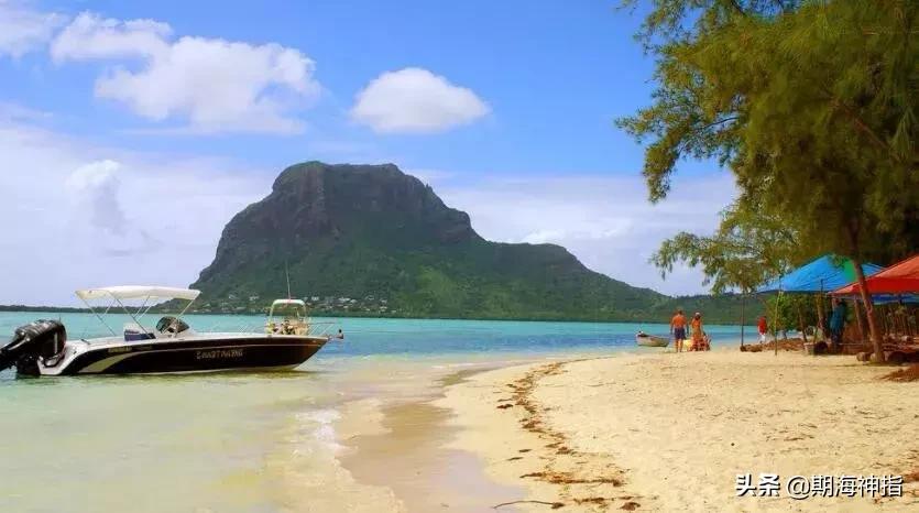 期货高手真实感悟,期货趋势交易高手感悟