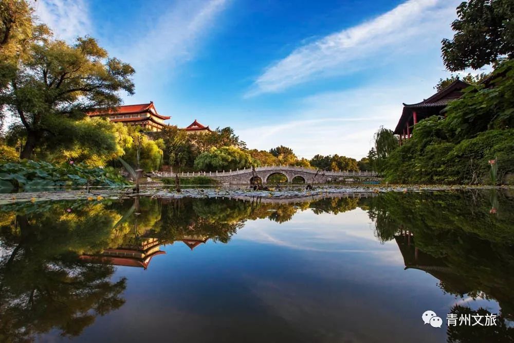 这样的青州，您不可错过~