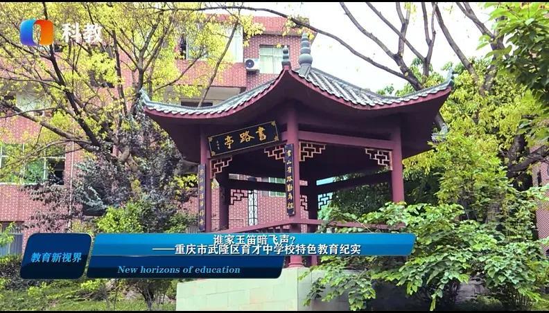 谁家玉笛暗飞声音效,《谁家玉笛暗飞声》