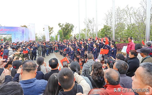 温州龙湾樱花,温州看樱花的地方