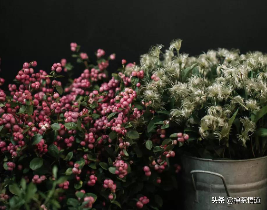 夫妻三观不合指哪三观,三观不合一般都是哪三观