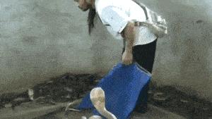 老板要给我买台电脑,老板适合用哪种笔记本电脑