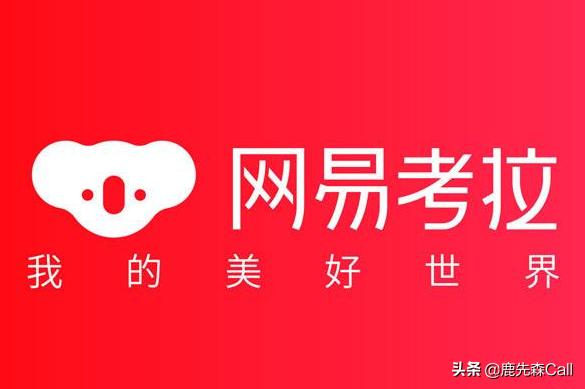 网易考拉陷真假大鹅风波,网易考拉辟谣