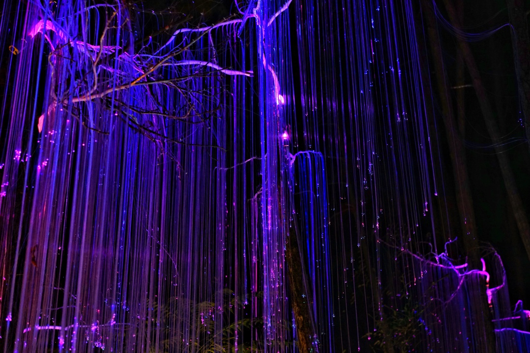 森波拉森林景区,广东清远森波拉旅游度假区