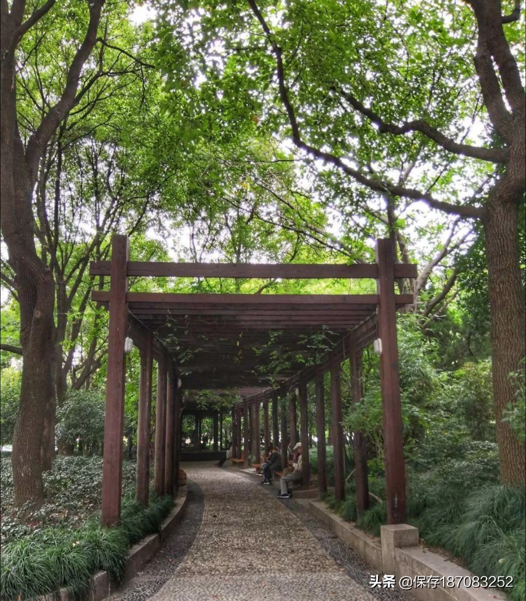 上海黄浦公园潮汐表下载,上海黄浦公园