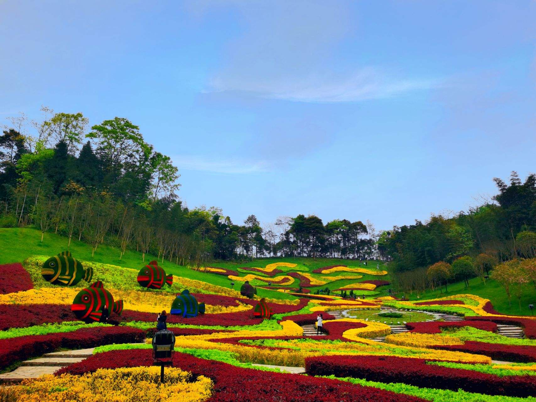 成都周边春季徒步旅游攻略,成都森林徒步旅游攻略