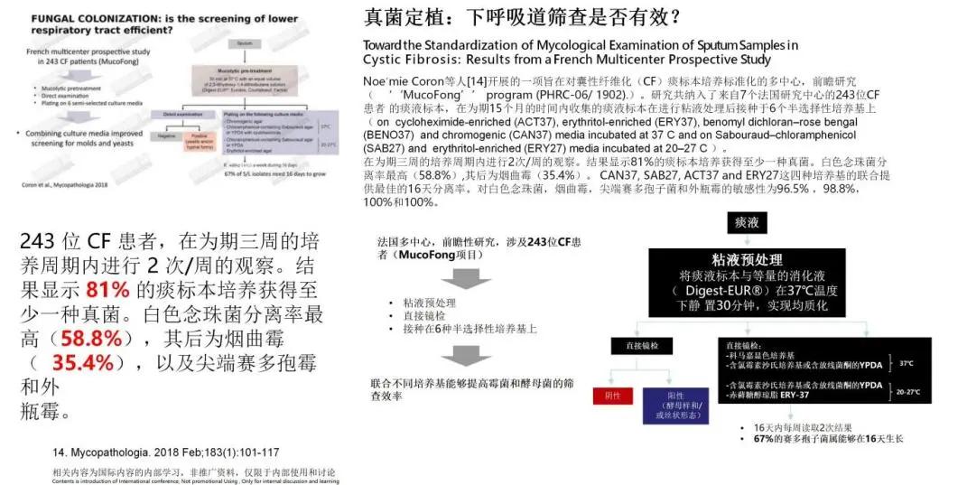 真菌培养及鉴定是阳性严重吗,怎么鉴别肺部真菌感染