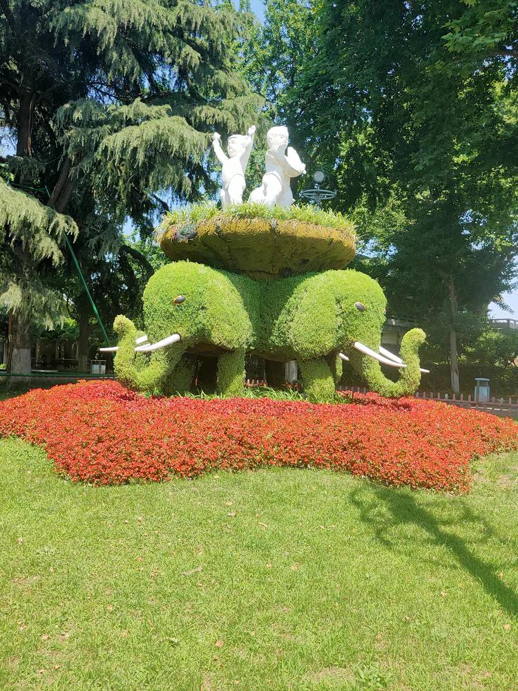 曾作为禁地，与外界隔绝二百六十多年的“玄武湖”，今日锣鼓喧天