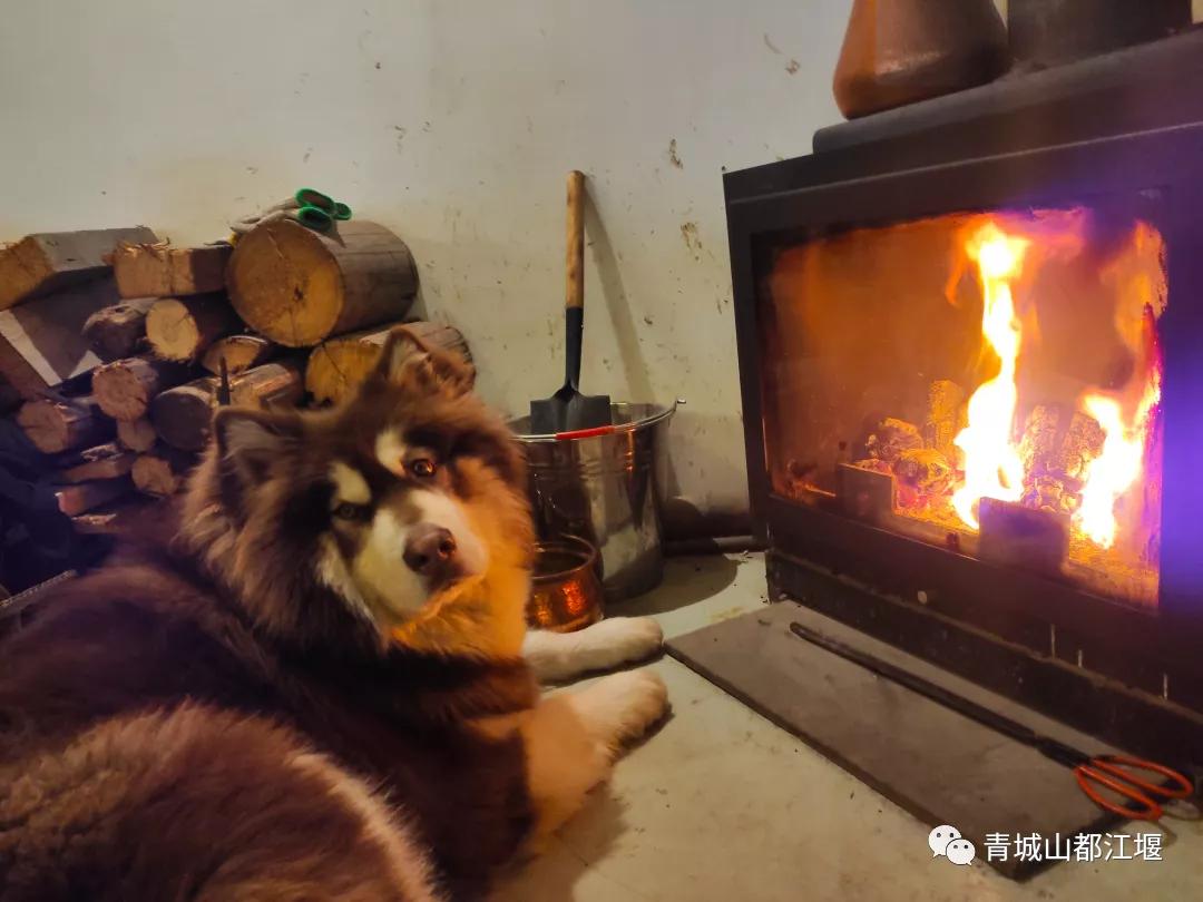 无雪不成冬,都江堰玩雪一日游