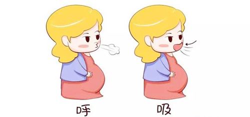 探究分子在不断运动,探究分子间的作用力实验