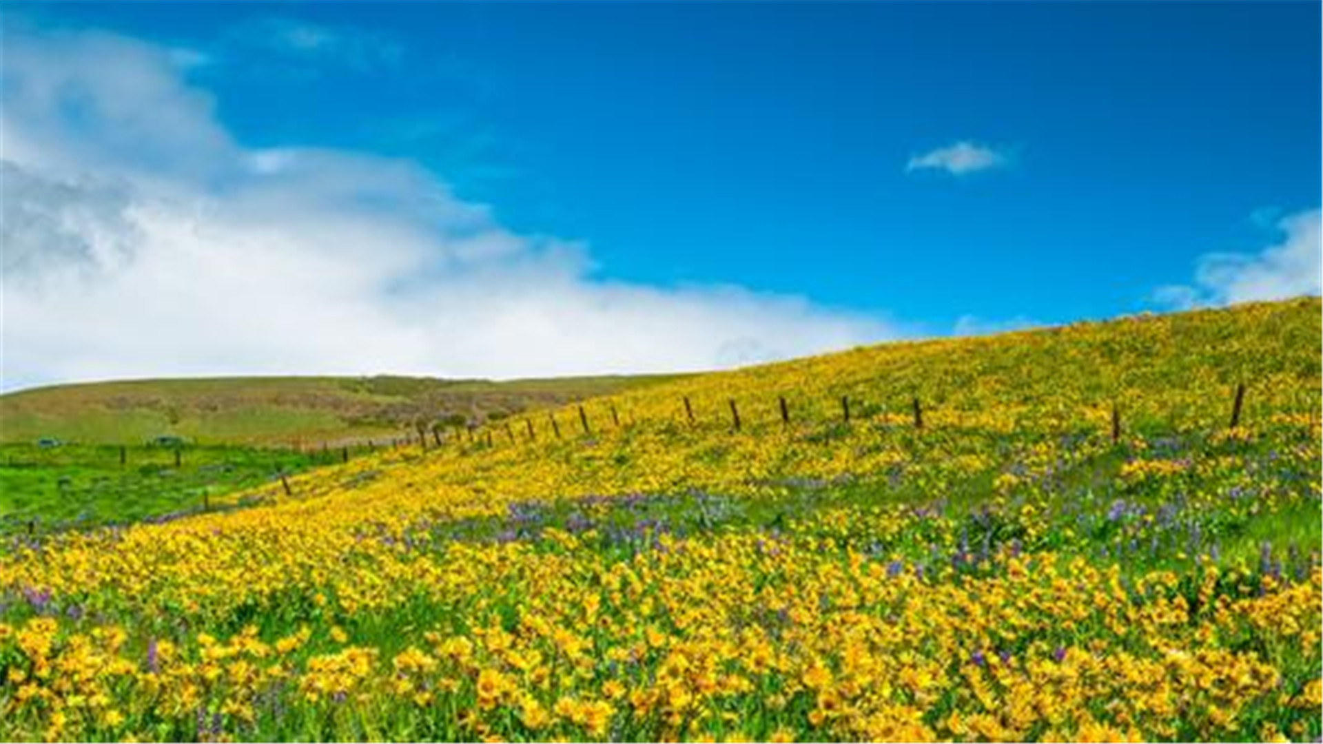 蓝色护眼壁纸唯美图片,最美的护眼桌面壁纸