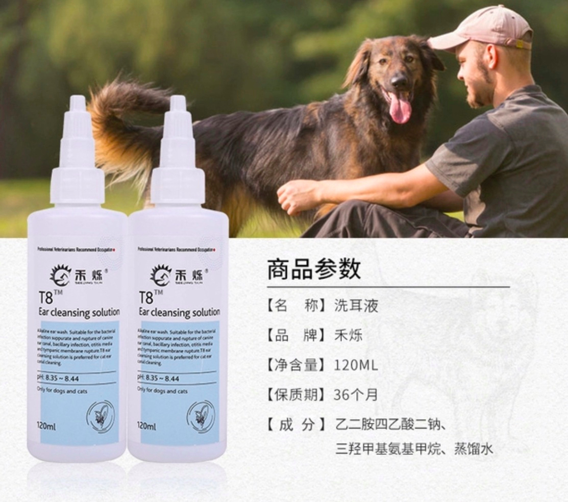 猫咪怎么治疗猫病最有效,新手养猫指南猫咪生病的征兆