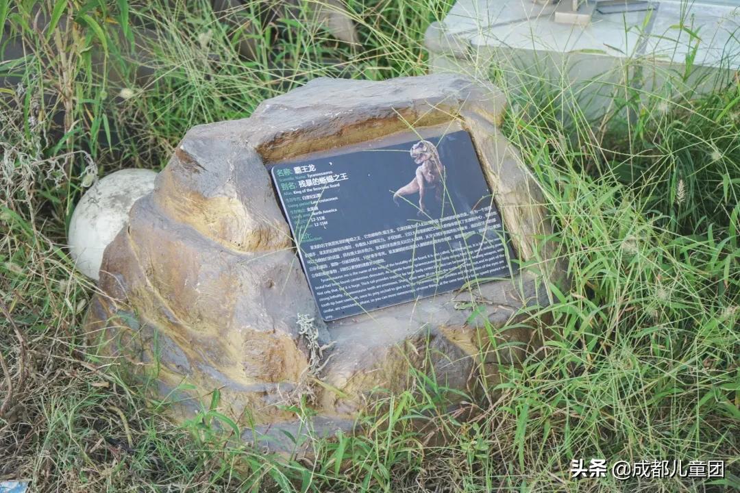 沉浸式体验儿童乐园,体验大自然中的儿童乐园