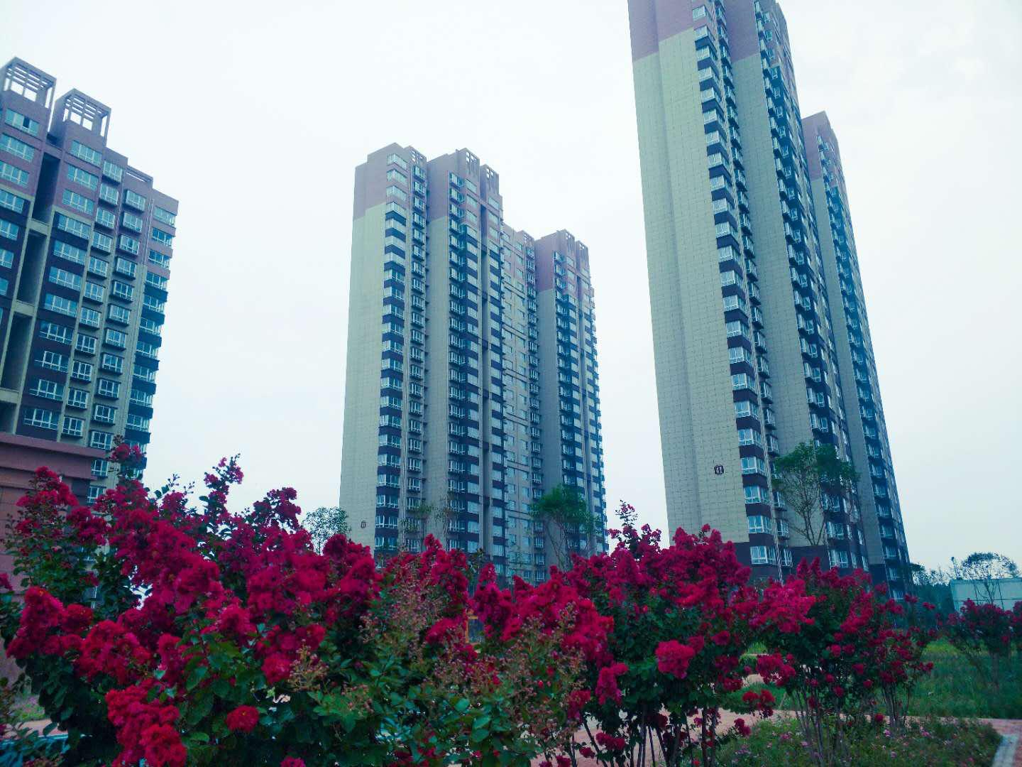 洛阳2023回迁安置小区,洛阳拆迁安置楼