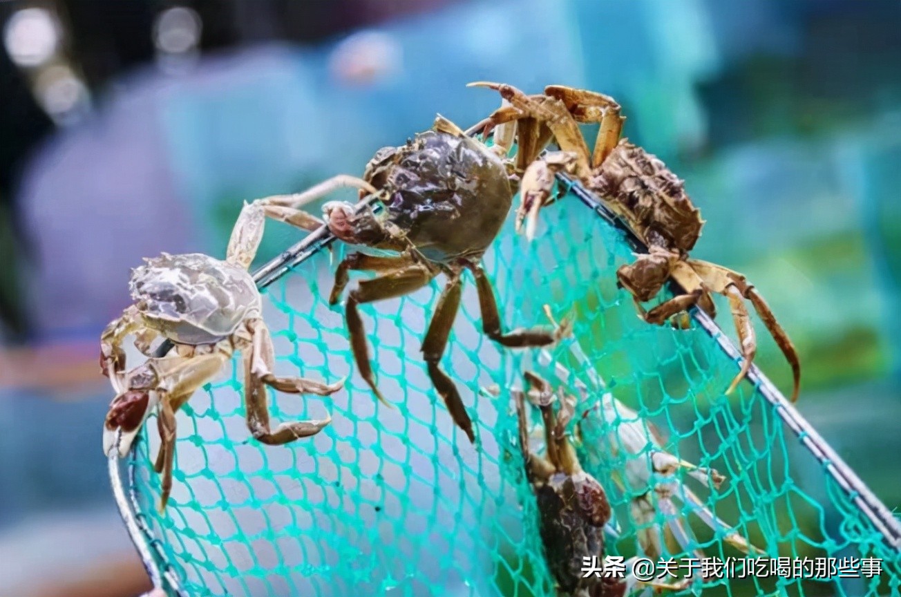 新鲜的螃蟹怎么保存到第二天吃,吃不完的螃蟹应怎样保存比较新鲜