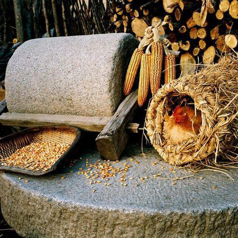 80年代农村为什么虱子多,为何30年前农村男女老少都有虱子