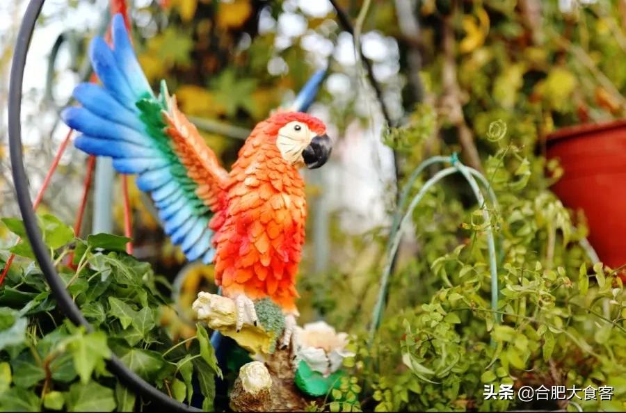 <html>
<head><title>502BadGateway</title></head>
<body>
<center><h1>502BadGateway</h1></center>
<hr><center>nginx</center>
</body>
</html>
<!--apaddingtodisableMSIEandChromefriendlyerrorpage-->
<!--apaddingtodisableMSIEandChromefriendlyerrorpage-->
<!--apaddingtodisableMSIEandChromefriendlyerrorpage-->
<!--apaddingtodisableMSIEandChromefriendlyerrorpage-->
<!--apaddingtodisableMSIEandChromefriendlyerrorpage-->
<!--apaddingtodisableMSIEandChromefriendlyerrorpage-->
