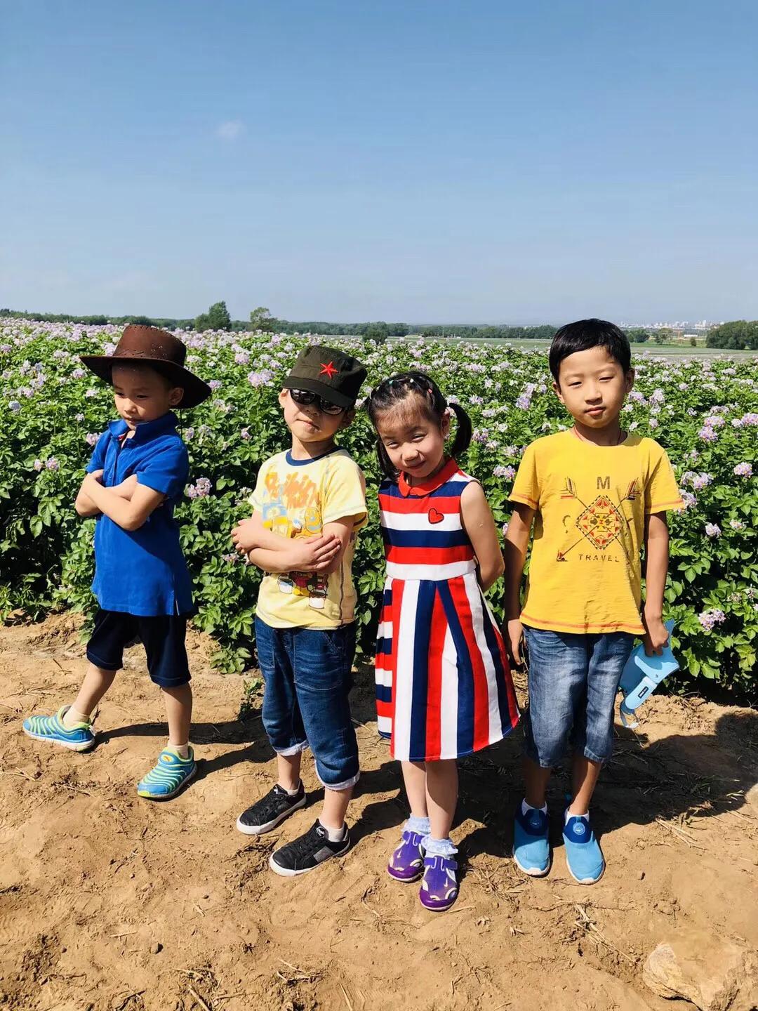 张北天路乌兰布统攻略,天津张北草原天路自驾游攻略