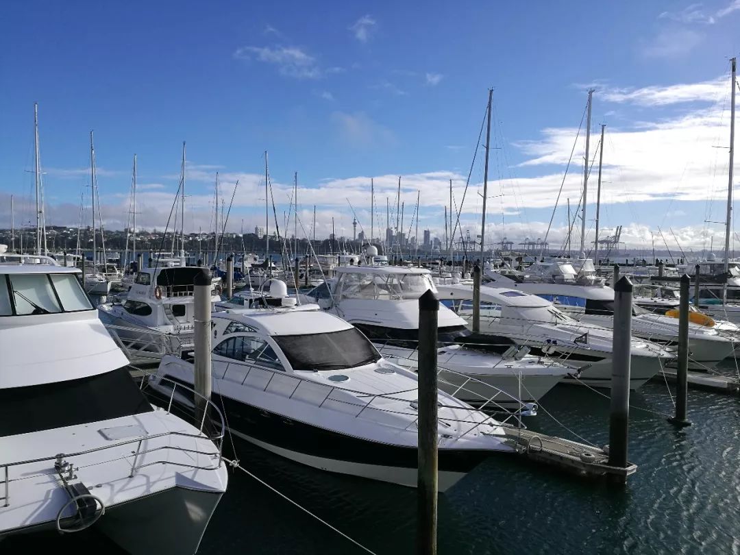 难忘的新西兰之行,在新西兰难忘的日子