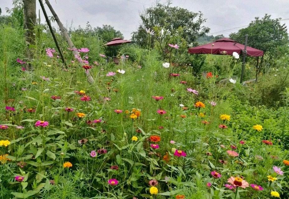 德阳精品咖啡馆,德阳最美咖啡