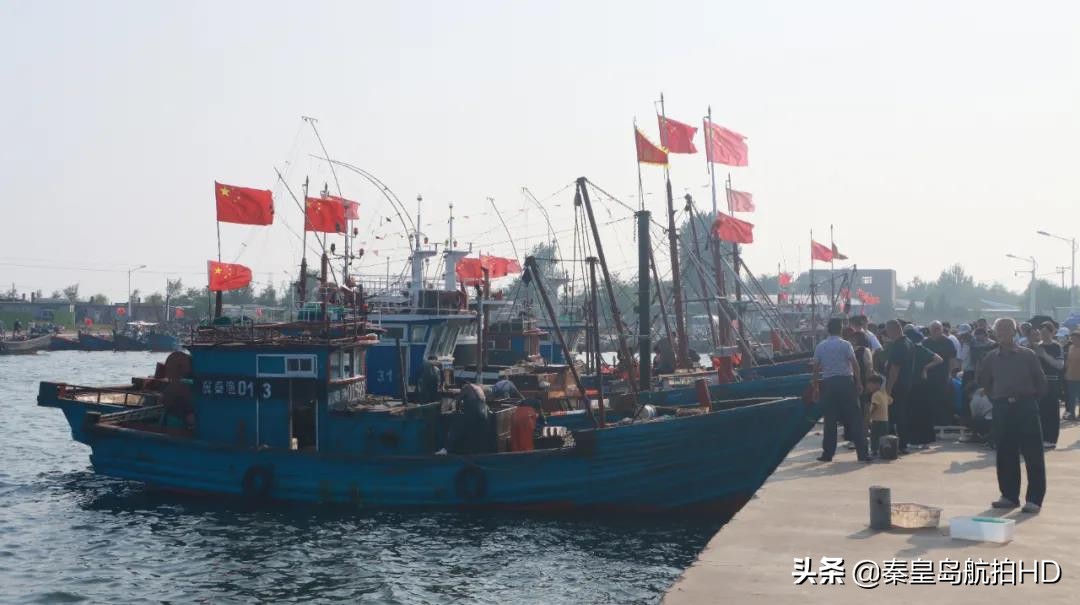 秦皇岛买海鲜去哪里?去码头便宜又新鲜,渔民:船靠岸就被抢光